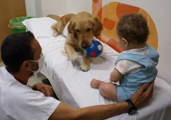 Realidad virtual y asistencia canina para disminuir la ansiedad de los niños hospitalizados en Quirónsalud Valencia