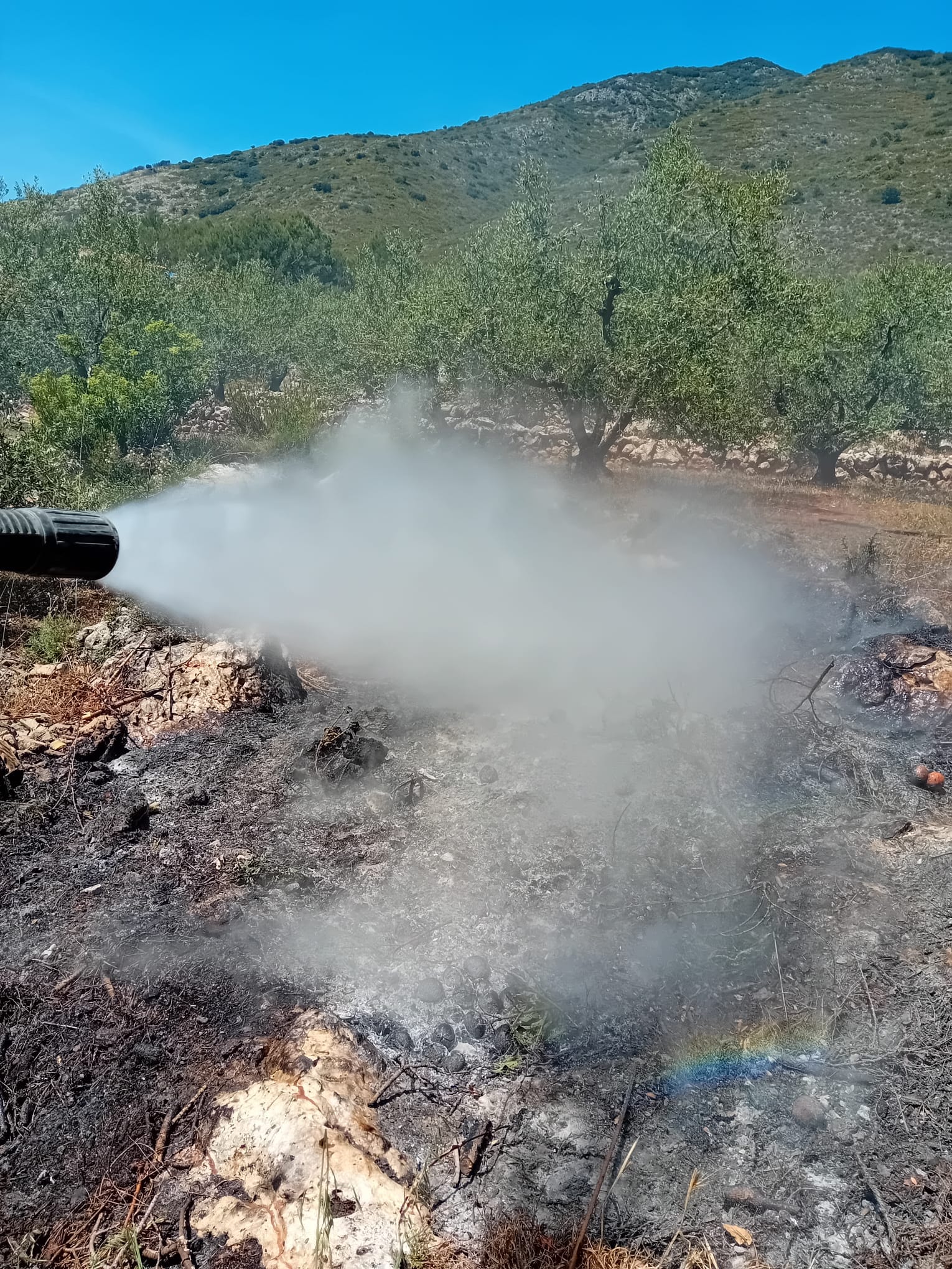 Apagan un fuego junto a una parcela de cultivo en Villalonga.