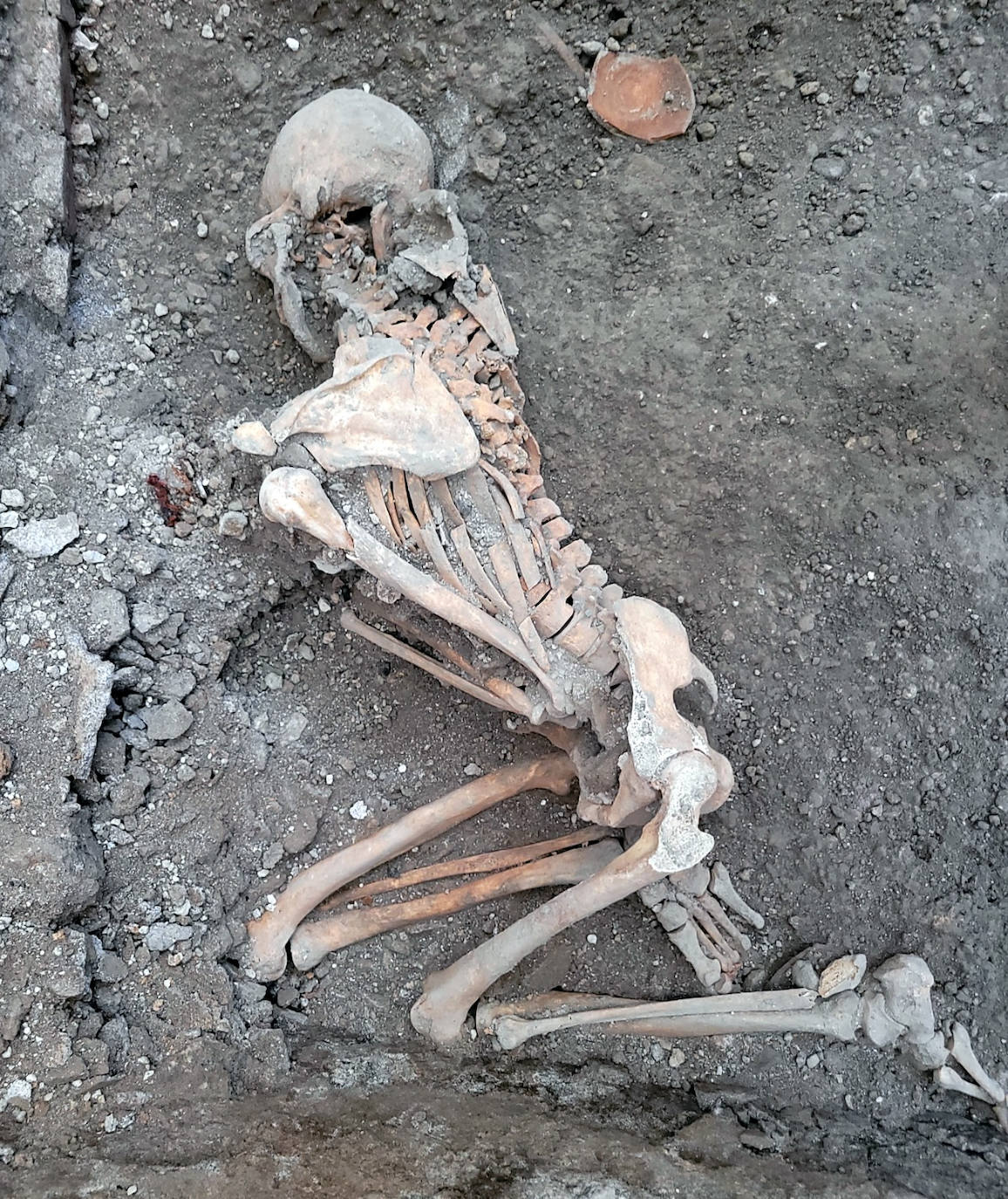 Hallan nuevos esqueletos en Pompeya: dos cuerpos que murieron tras la erupción del volcán Vesubio