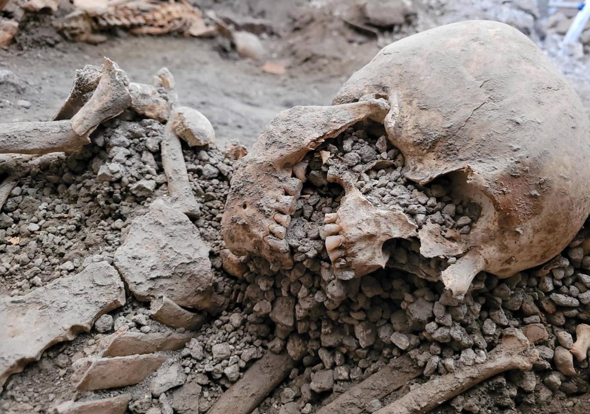 Hallan nuevos esqueletos en Pompeya: dos cuerpos que murieron tras la erupción del volcán Vesubio