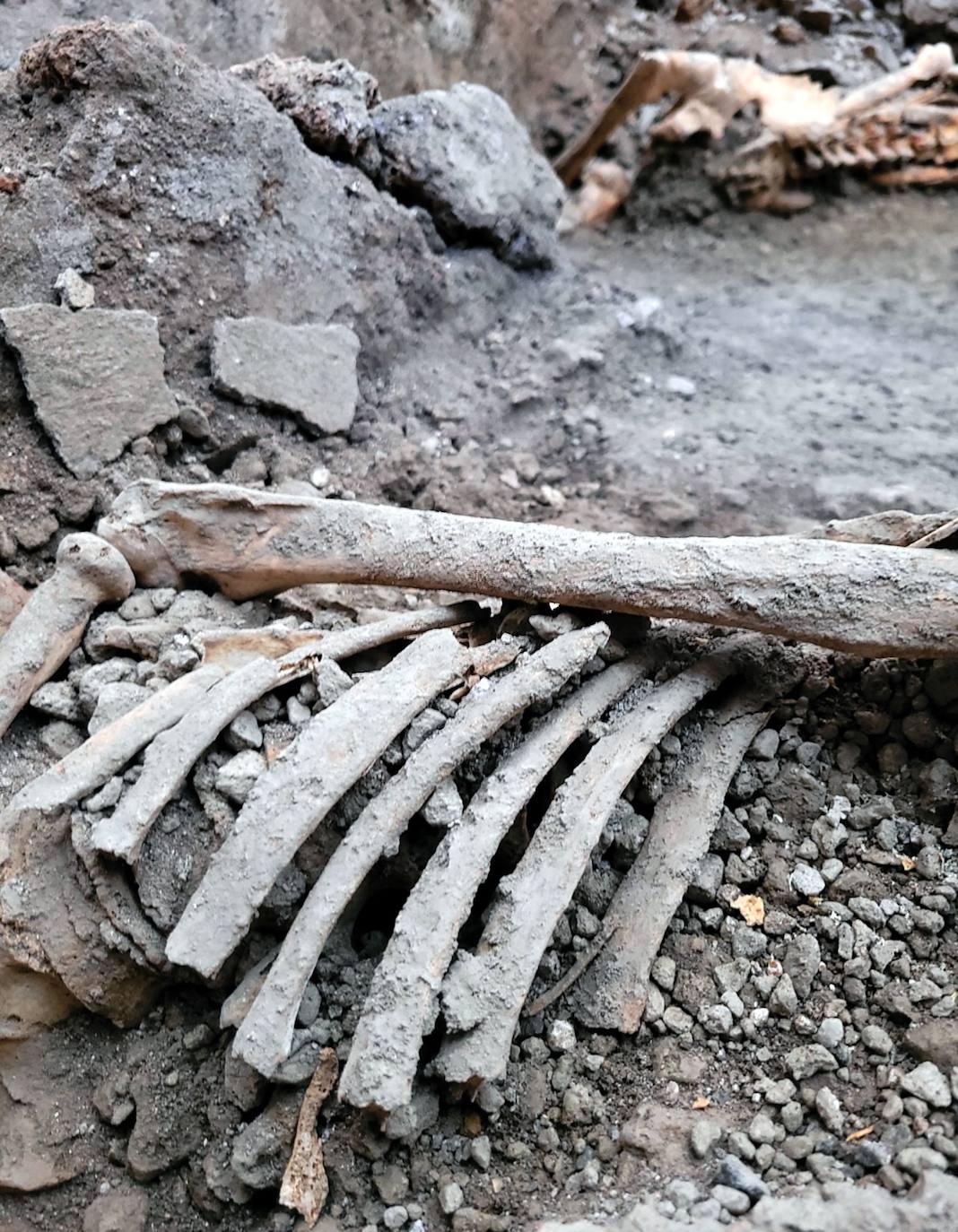 Hallan nuevos esqueletos en Pompeya: dos cuerpos que murieron tras la erupción del volcán Vesubio