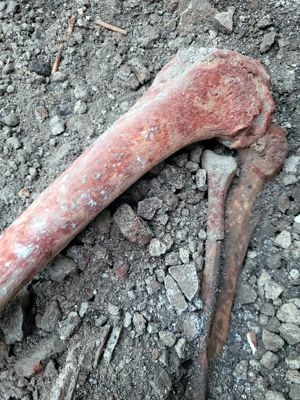 Hallan nuevos esqueletos en Pompeya: dos cuerpos que murieron tras la erupción del volcán Vesubio
