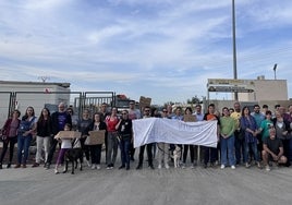 Refugio municipal de animales.