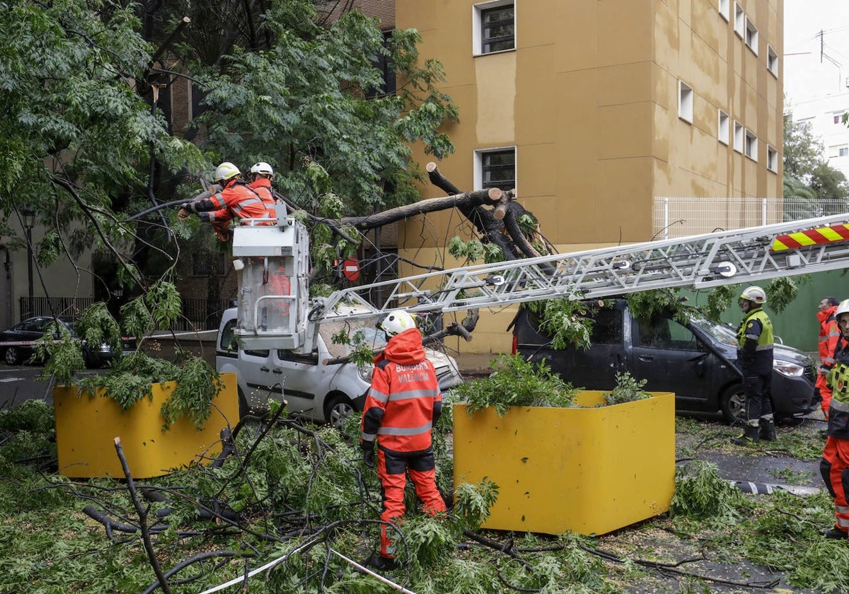 Los bomberos retiran, el pasado martes, las ramas del árbol caído entre los maceteros.