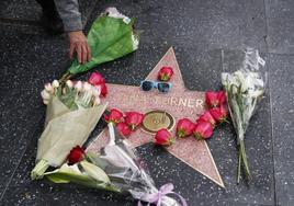 Flores en el paseo de la fama de Hollywood.