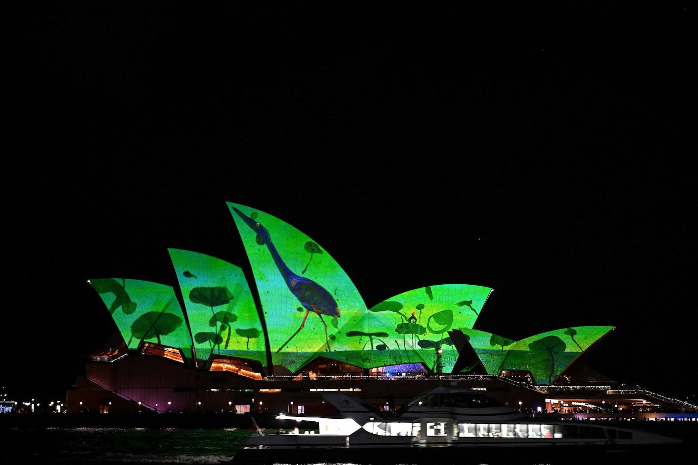 El Vivid Sydney festival llena la ciudad de luz y color