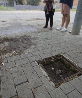 Imagen secundaria 2 - Aceras por reparar en Pintor Dalmau; jardín lleno de tierra en Virgen del Carmen y robo de trapas.