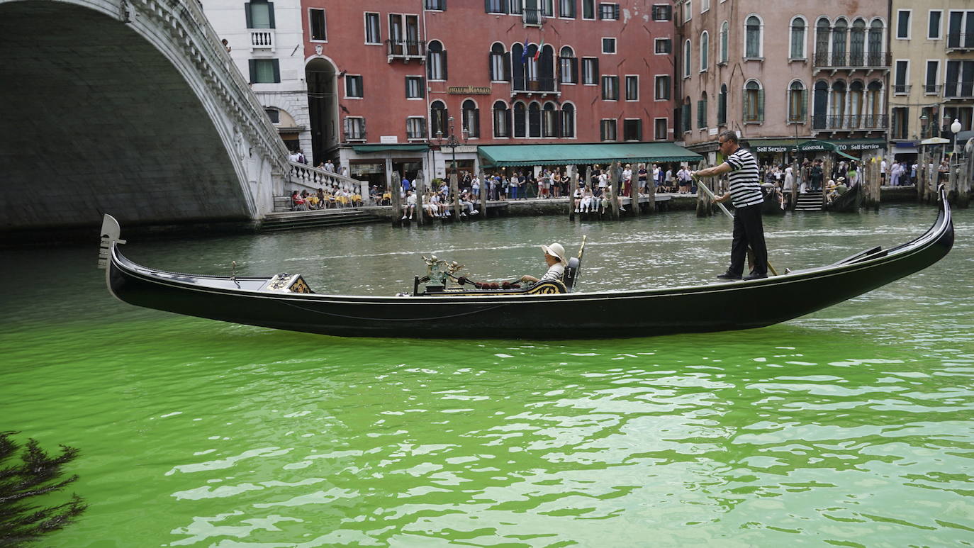 Las aguas del Gran Canal de Venecia se tiñen de verde fosforescente