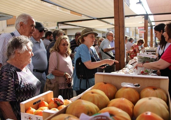 ¿Qué hacer este fin de semana en Valencia?