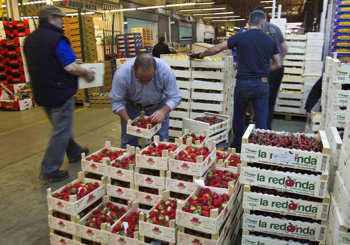 Preparación de cajas con fresas en MercaSantander.