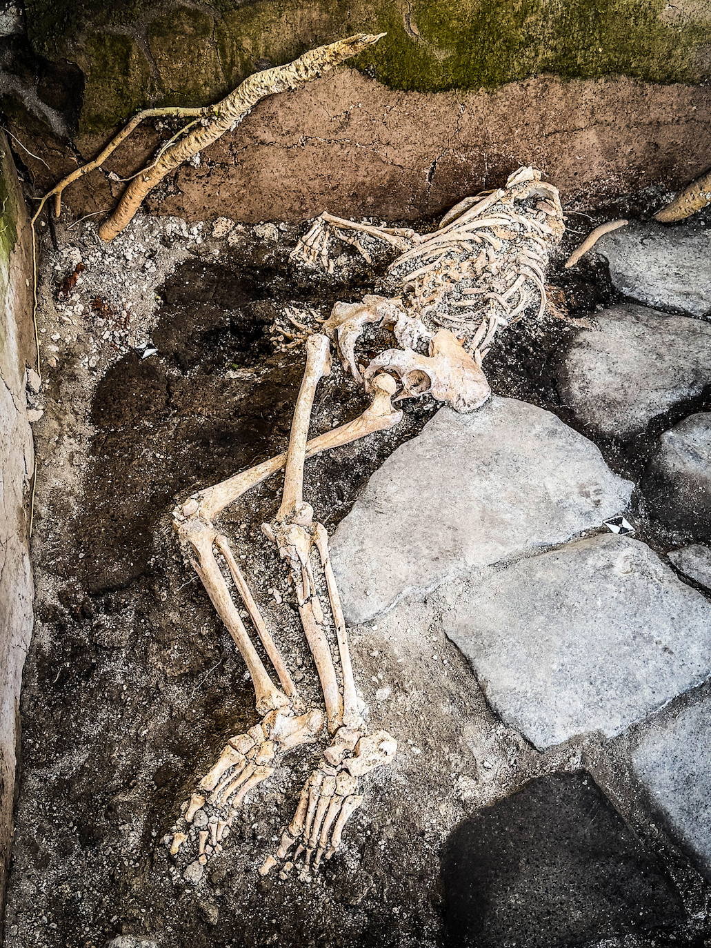 Nuevo descubrimiento histórico en Pompeya