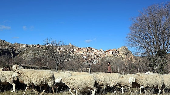 Paraísos fiscales de coches: pueblos valencianos con más vehículos que vecinos