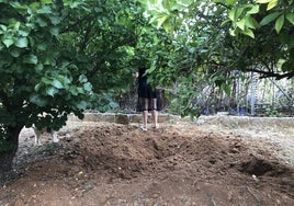 Hoyos excavados por jabalíes en un terreno.