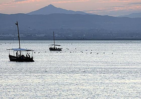 Aves revoloteando en la Albufera.