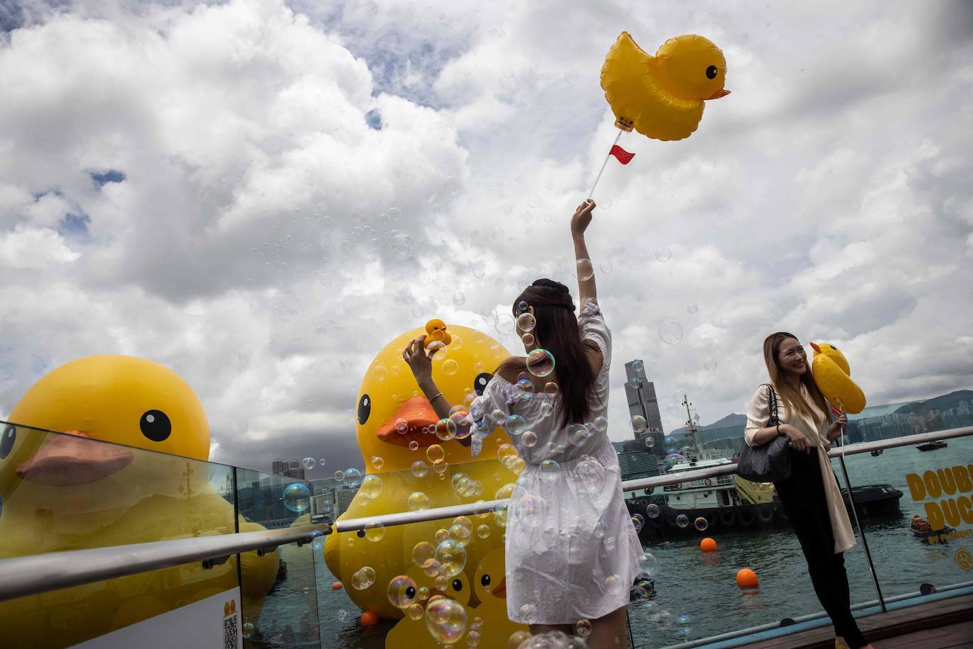 Los gigantes patos hinchables de Hofman llegan a Hong Kong