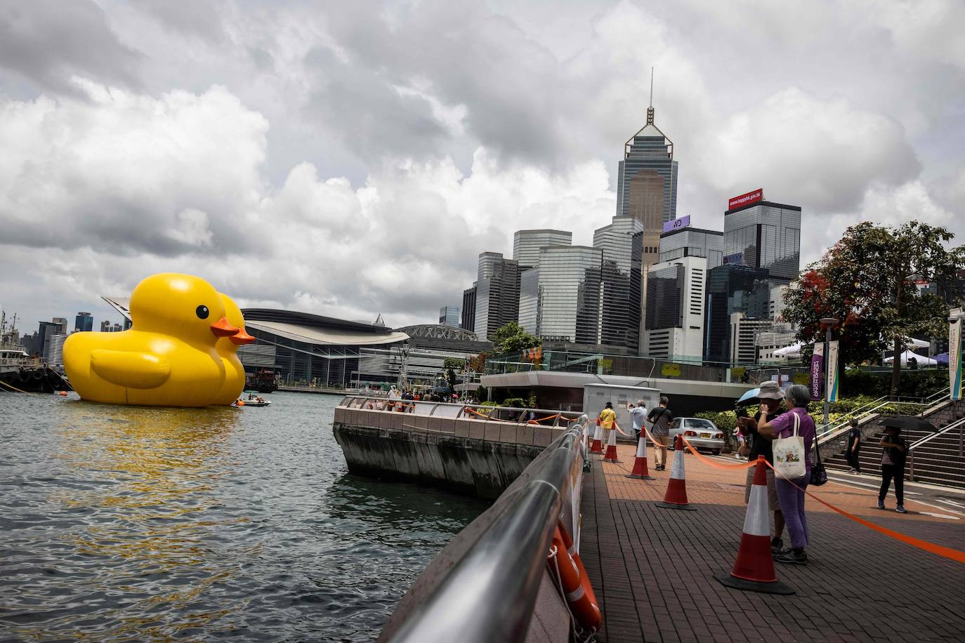 Los gigantes patos hinchables de Hofman llegan a Hong Kong