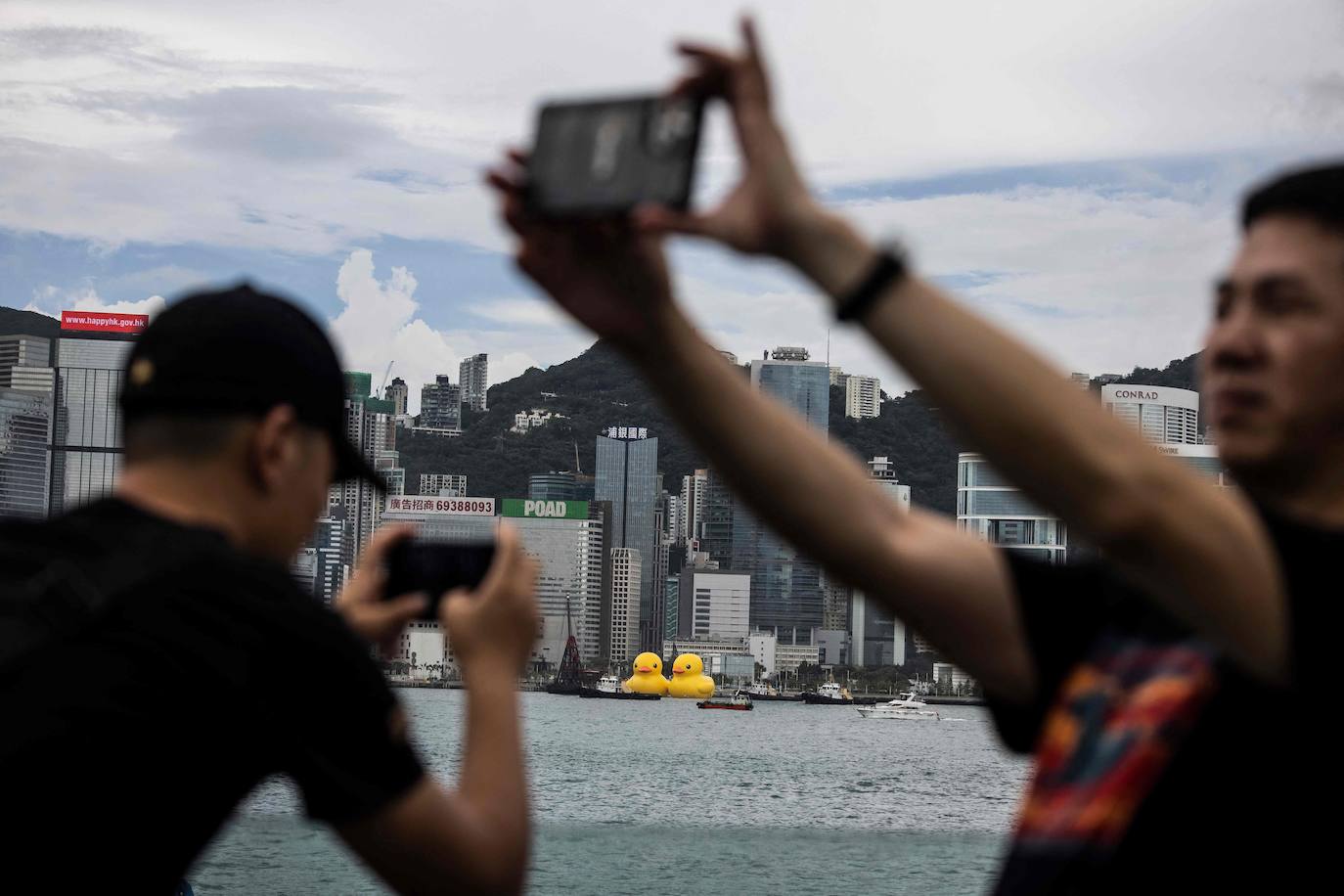 Los gigantes patos hinchables de Hofman llegan a Hong Kong