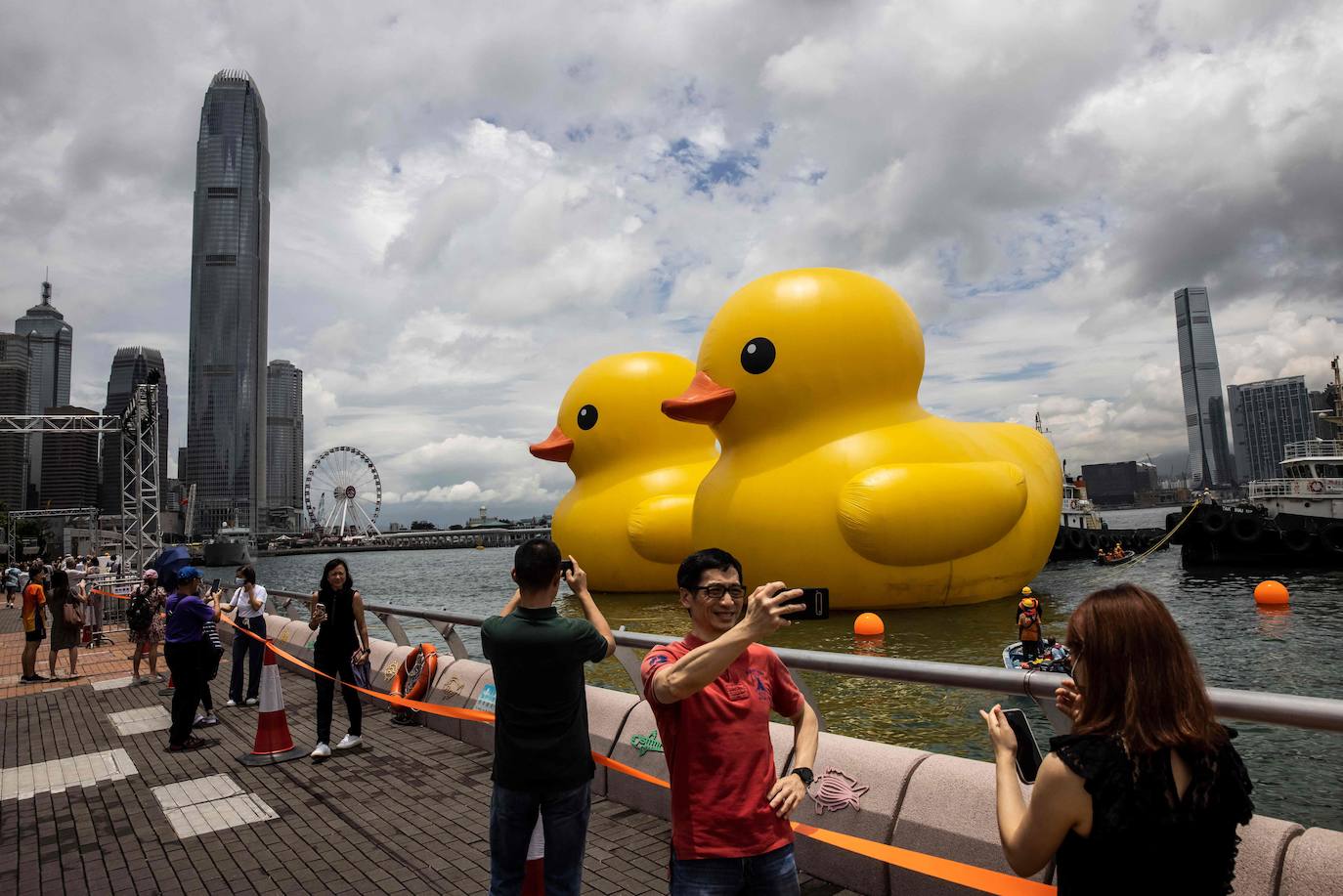 Los gigantes patos hinchables de Hofman llegan a Hong Kong