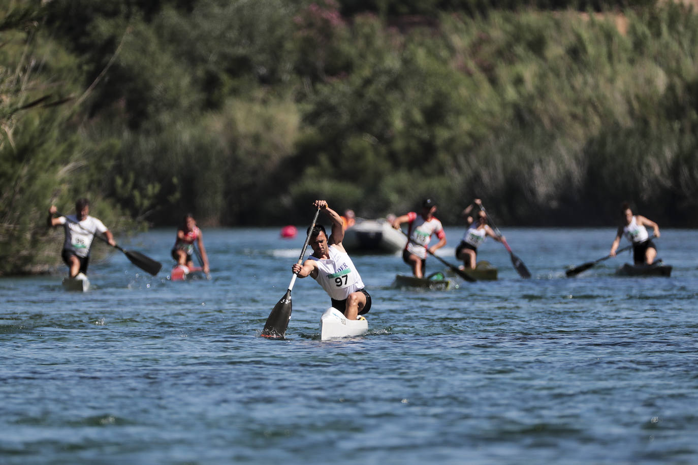 Las piraguas toman el Xúquer