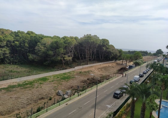 Zona donde se va a crear la dehesa para unirla con la playa de Gandia.