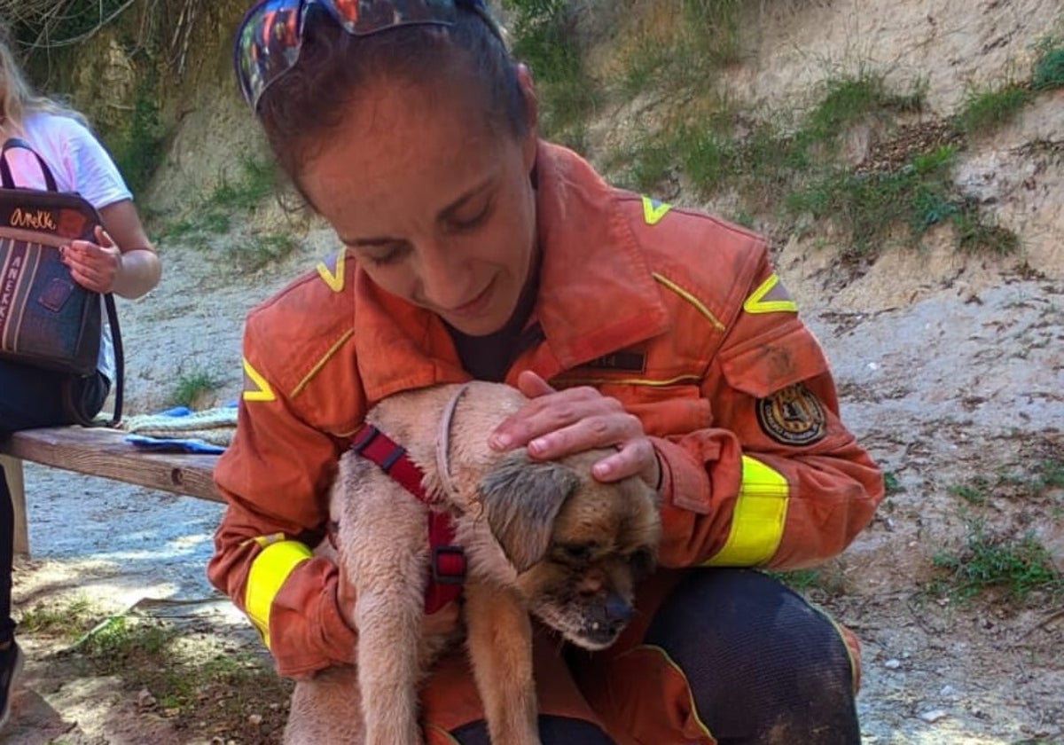 Perrito rescatado por una bombero del parque de Ontinyent.