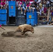 Los bous al carrer del 16 al 18 de junio en Valencia, Alicante y Castellón