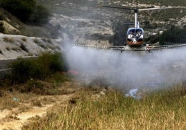 Un helicóptero fumiga unos campos.