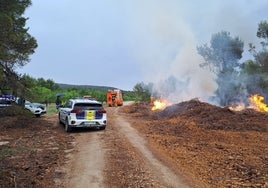 Un equipo de bomberos sofoca las llamas.