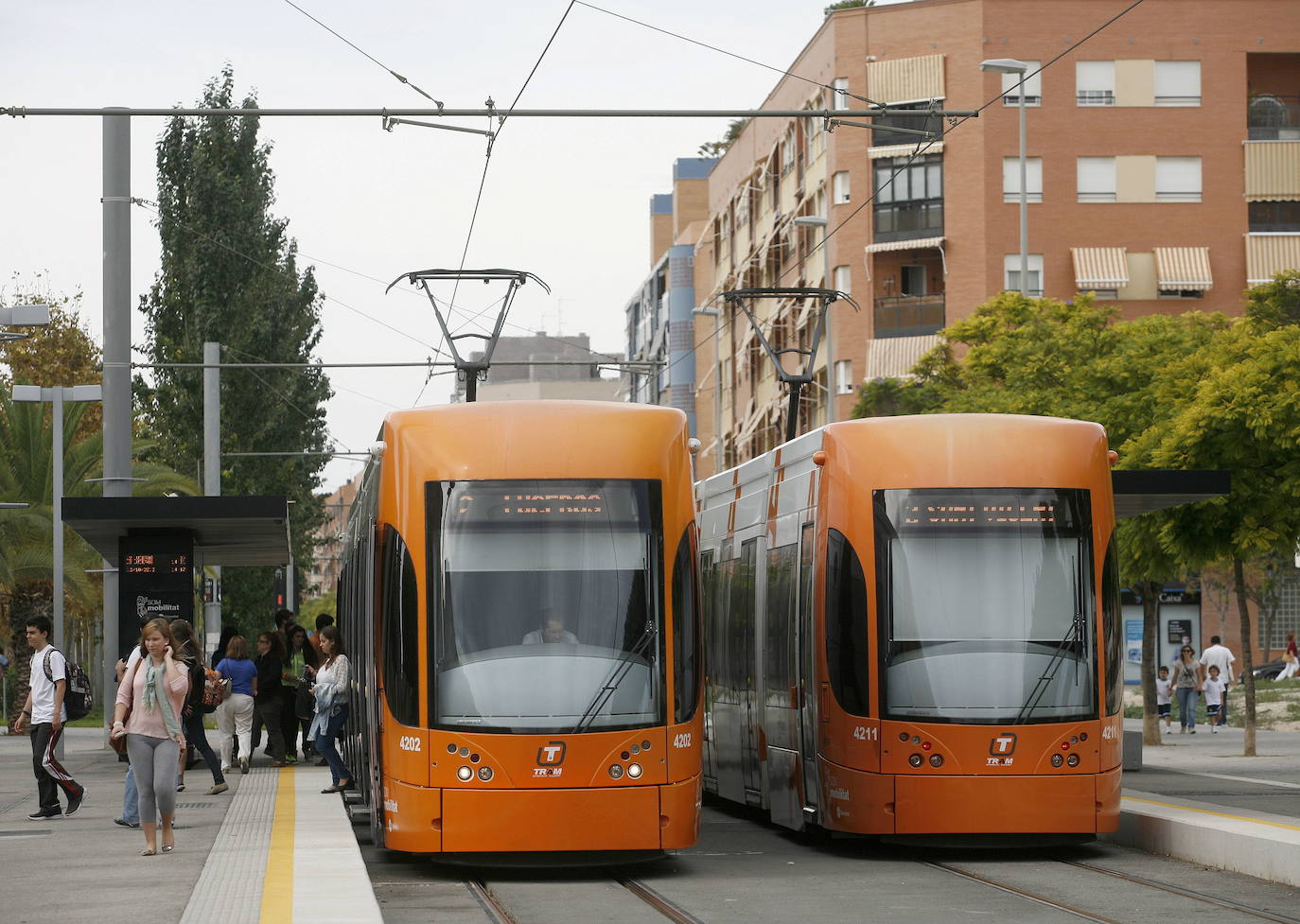 Dos tranvías circulan por vía del TRAM en una imagen de archivo.