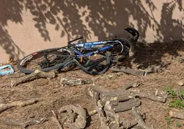 La bicicleta junto a la leña esparcida en el sueño tras el accidente.
