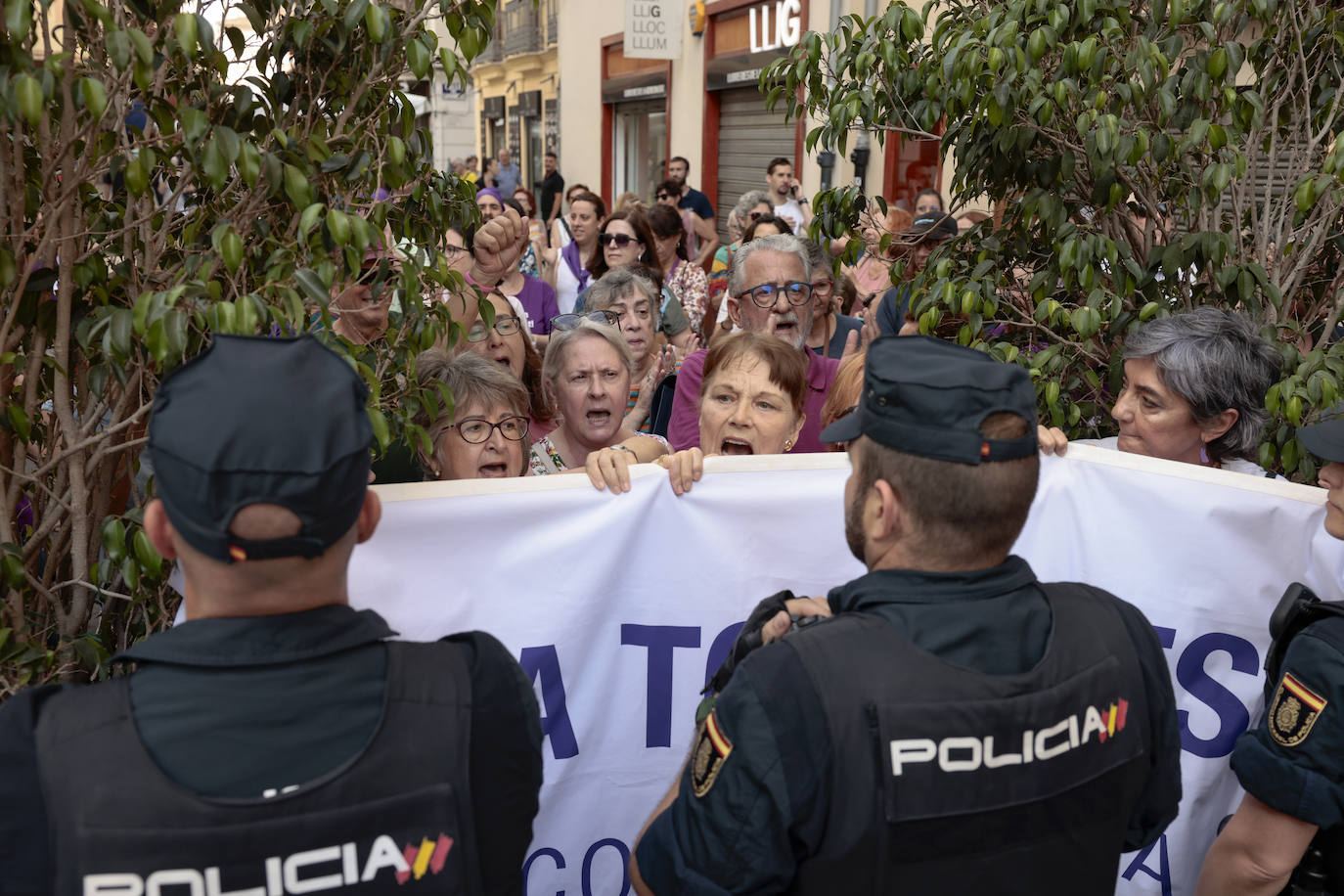 La Constitución de Les Corts Valencianes, en imágenes