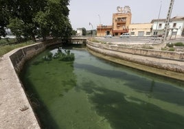 Vista de la Acequia Real del Júcar.