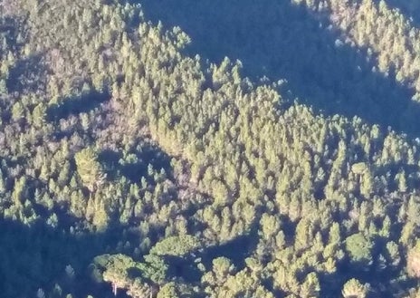 Imagen secundaria 1 - Bellas instantáneas del Paraje Natural de La Murta.