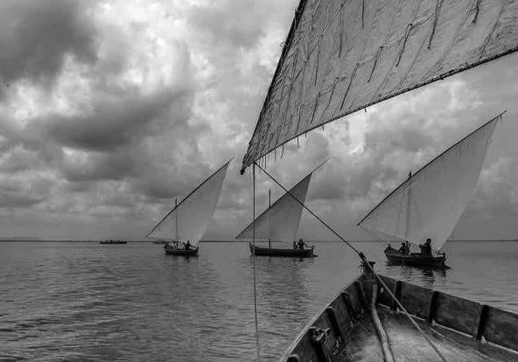 Imagen principal - Una de las fotografías participantes del Concurso Fotográfico X l'Albufera