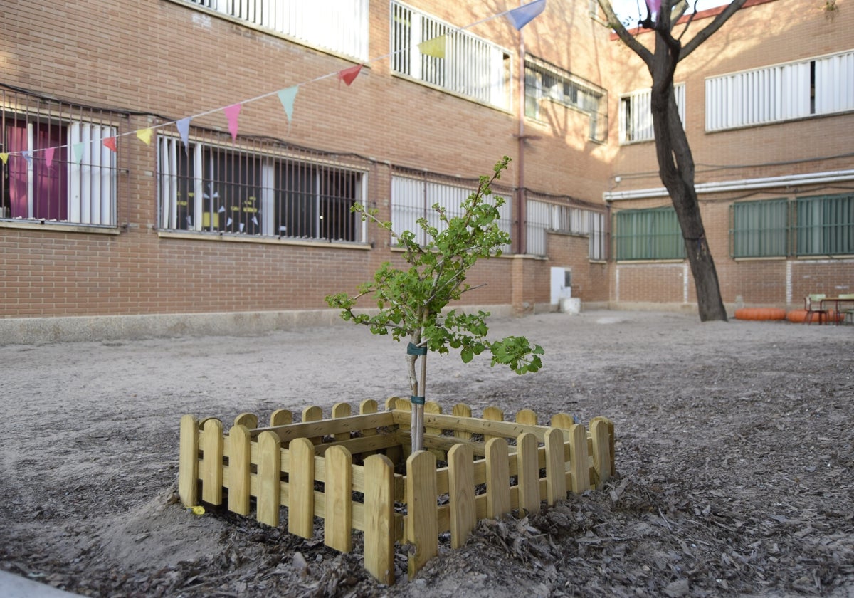 CEIP Fernando de los Ríos.