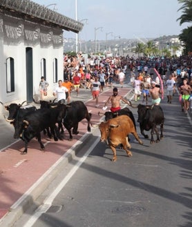 Imagen secundaria 2 - La sesión vespertina de los bous y la entrada de toros de hoy.