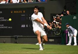 Alcaraz, en la final de Wimbledon.