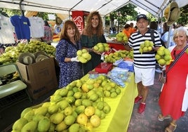 Venta de limones