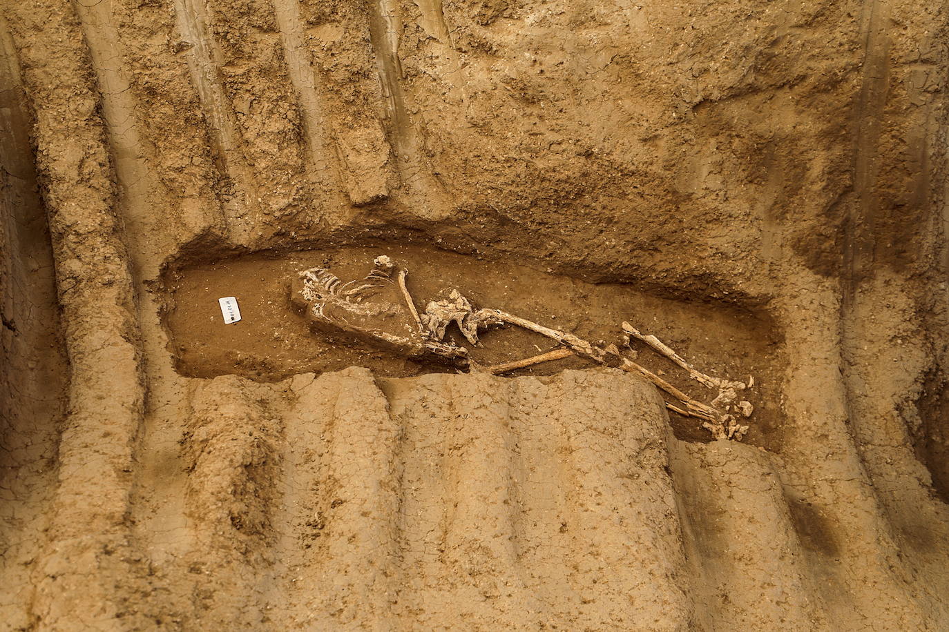 Nuevos hallazgos en la necrópolis romana de Gaza