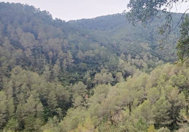 Imagen principal - Vistas de la propuesta en la Sierra de Espadán.