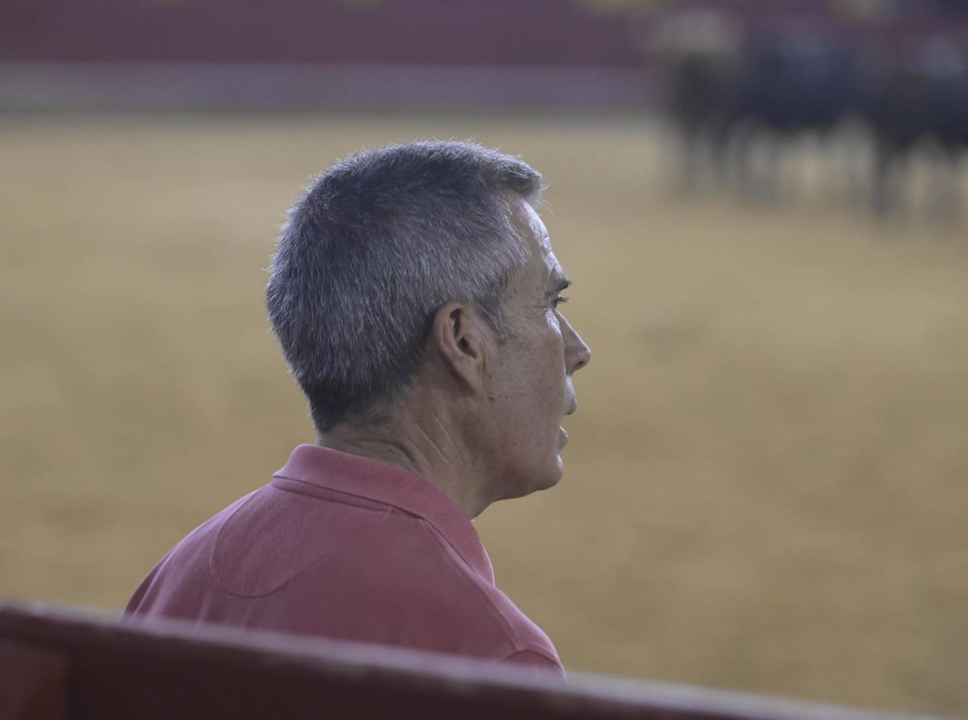 Los miuras protagonistas en la noche de la desencajonada en Valencia