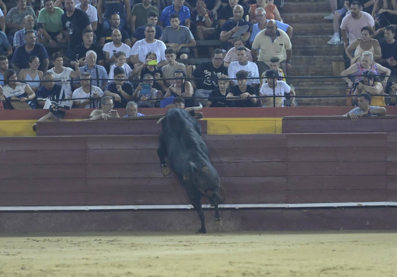 Los miuras protagonistas en la noche de la desencajonada en Valencia