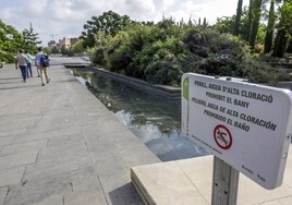 Visita de los técnicos y autoridades municipales al Parque Central durante la toma de muestras de agua.