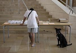 Un colegio electoral en la comunitat este domingo 23 de julio.