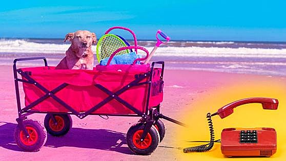Lo que me llevo a la playa