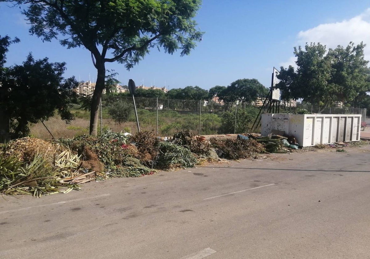 Residuos verdes de poda acumulados junto a un contenedor en Dénia.