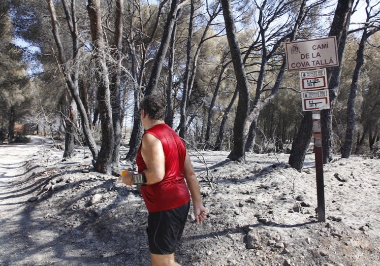 Imagen principal - «Cuando hay un incendio recuerdo el de La Plana»