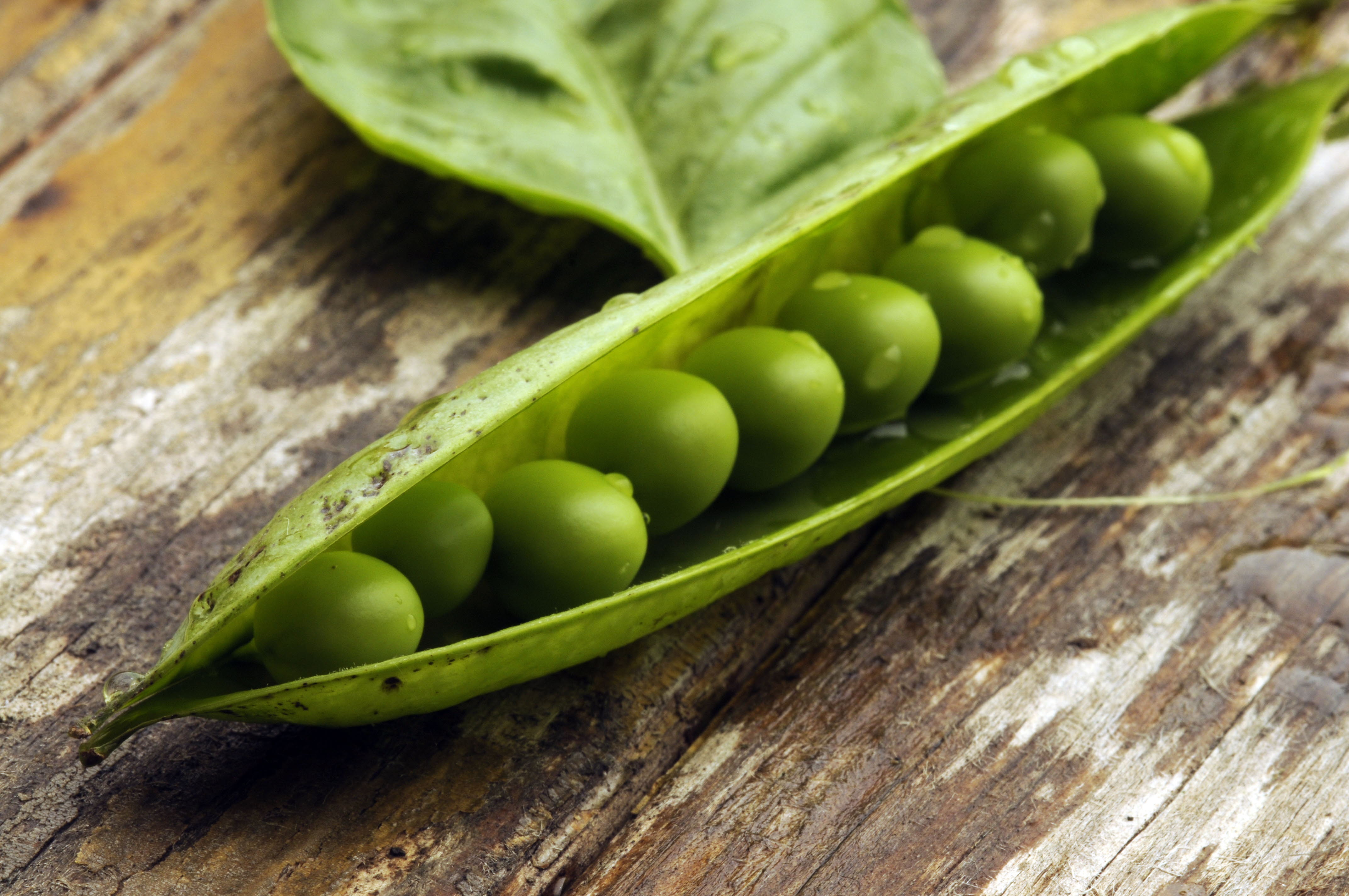 El superalimento que ayuda a tener un vientre plano y reduce el colesterol