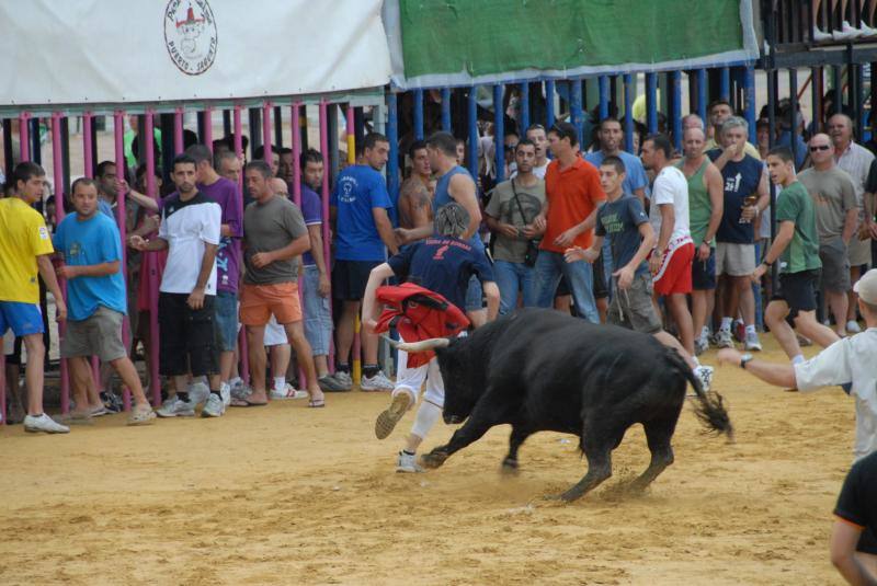 Toros en las fiestas de Sagunto