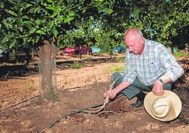 Cristóbal Aguado muestra las raíces descubiertas de un árbol.